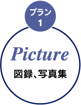 �v����1�@Picture