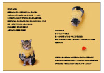 photo essay sample